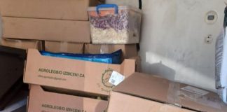 Sute de controale ANSVSA pe litoral, în două săptămâni / Amenzi de peste 1 milion lei, activități economice suspendate sau interzise, produse alimentare confiscate