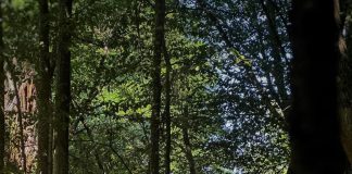 Rezultate foarte bune obținute de sportivii Secției moto Odobești, la competiția de săptămâna trecută / Duminică, în Vrancea, va fi etapă europeană RoRally Marathon