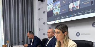 Diana Buzoianu, MMAP: ”Reforma Romsilva este despre responsabilitate, eficiență și corectitudine”