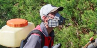 Dezinsecție în Crângul Petrești, joi noapte