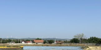 Fotbal: CSM Adjud 1946, victorie categorică la Rm. Sărat în al doilea amical al verii