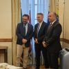 halici torino