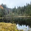 lacul negru