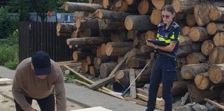 Amenzi de peste 75.000 de lei și lemne confiscate în urma unei acțiuni privind protejarea fondului forestier