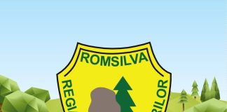 Raportul privind activitatea Romsilva a ajuns la Parchetul General / Ministra Mediului: ”pierderi economice tolerate, lipsă de control, complicități locale și o cultură organizațională care nu mai servește interesul public”