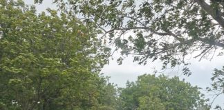 ULTIMA ORĂ Blocaj pe drumul dintre Păunești și Domnești