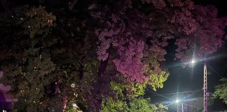 Ce probleme a cauzat furtuna în Focșani și în județ