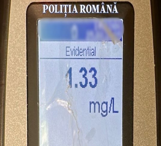 Șofer beat la volanul unei autoutilitare pe Autostrada Moldovei