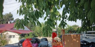 FOTO „Ai doar ceea ce ai dăruit!” / Puțină bucurie pentru familii necăjite din Vrancea din partea unor oameni cu suflet mare