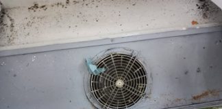 Protecția Consumatorilor a dat amenzi de aproape 7 milioane lei pe litoral, într-o lună și jumătate