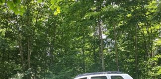 Garda Forestieră Focșani, luna iulie: amenzi, confiscări, avize de împădurire, verificări în SUMAL