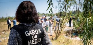 Guvernul a aprobat: comisarii de mediu pot face controale cu bodycam-uri instalate / Imaginile vor fi probă în instanță