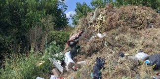 FOTO-VIDEO Un bărbat, filmat când arunca saci cu deșeuri în cimitirul din Suraia