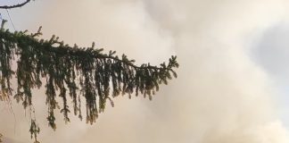 Incendiu la o locuință din Fitionești