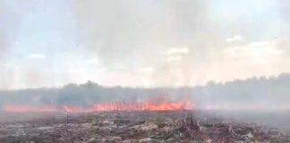 ULTIMA ORĂ Ard 3 hectare de vegetație în satul Căiata