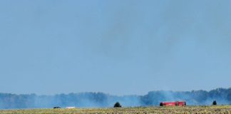 ULTIMA ORĂ FOTO Incendiu de vegetație pe raza comunei Vânători