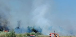 ULTIMA ORĂ Incendiu la o fermă din Mirceștii Noi