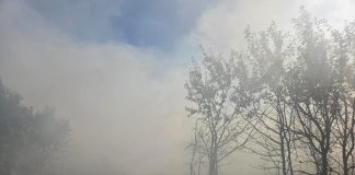 Jandarmii vrânceni au intervenit pentru stingerea unui incendiu de vegetație, izbucnit în Păulești