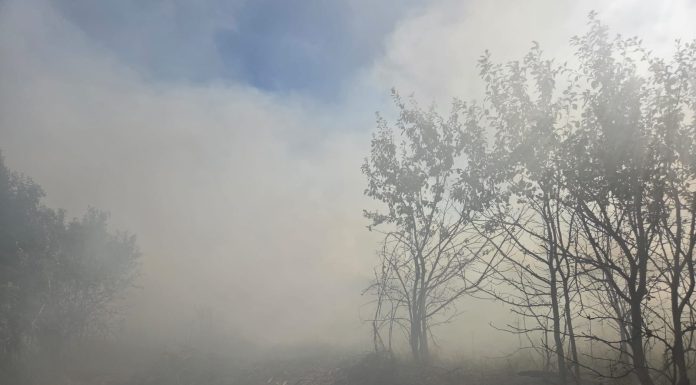 Incendiu de vegetație la Anghelești