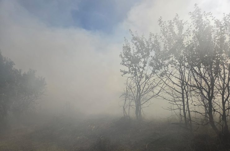 Incendiu de vegetație la Anghelești