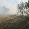 incendiu vegetatie (4)
