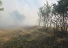 ULTIMA ORĂ Incendiu de vegetație și deșeuri la Slobozia Bradului