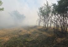 ULTIMA ORĂ Incendiu de vegetație și deșeuri la Slobozia Bradului