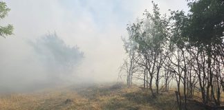 ULTIMA ORĂ Incendiu de vegetație și deșeuri la Slobozia Bradului