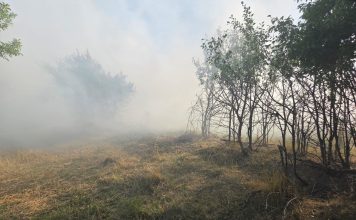 Jandarmii montani au ajutat la stingerea unui incendiu de vegetație, izbucnit în apropierea unor grajduri de animale