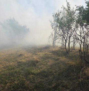 ULTIMA ORĂ Incendiu de vegetație și deșeuri la Slobozia Bradului