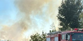 Șapte ore s-au luptat pompierii cu incendiul de vegetație de la Rădulești / Se fac cercetări pentru a se stabili de la ce a pornit focul