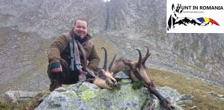 Lupul paznic la oi: condamnat pentru complicitate la uciderea a doi urși, un gestionar de fond de vânătoare e acuzat din nou de braconaj