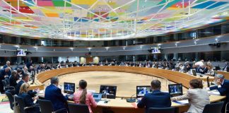 Despăgubiri de 11,5 milioane euro de la Uniunea Europeană pentru fermierii români din pomicultură și viticultură