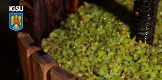 Avertisment de sezon: Atenție la pericolul din timpul fermentării mustului!