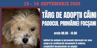 Iubitorii de animale sunt așteptați sâmbătă și duminică la padocul de la Golești