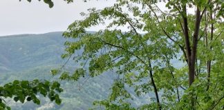 Meteo: vreme rece, în general, la mijlocul lunii octombrie