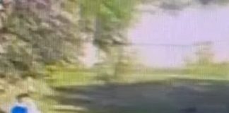 VIDEO Aspersoare și ornamente din spații publice, distruse de huligani