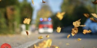 Toamna, cu frunze uscate și resturi vegetale: Nu le dați foc!