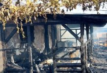 Incendiu la o locuință din Păunești