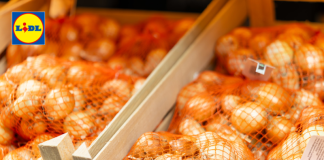 Ofertă în magazinele Lidl la produse românești pentru zacuscă și murături / Unele provin de la producători din Vrancea