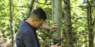FOTO 31 stații de monitorizare a faunei și mediului instalate în Parcul Natural Putna Vrancea