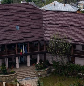 Decembrie a început cu un cutremur în Vrancea