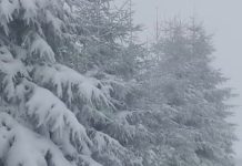 Cod roșu de vănt pe crestele montane