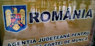 Piața forței de muncă stagnează: 252 de joburi disponibile în județ