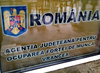 Piața forței de muncă stagnează: 252 de joburi disponibile în județ