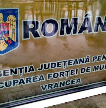 Oferta locurilor de muncă din județ. Ce job-uri se caută