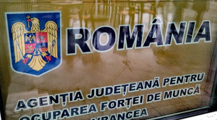 Oferta locurilor de muncă din județ. Ce job-uri se caută