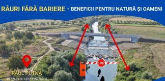Proiect pentru eliminarea pragurilor de beton de pe cursul râului Putna / Când râul curge, comunitatea prosperă!