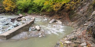 FOTO Atenționare pentru iubitorii de drumeții: apele învolburate au distrus două punți de acces în Cheile Tișiței