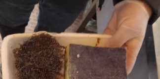 ANSVSA, primele controale înainte de Crăciun: amenzi de 3,6 milioane lei, suspendări și interziceri de activități